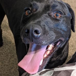 Meet your Posher, Sherry